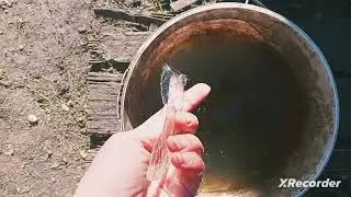 ВСЁ ЗАМЁРЗЛО!