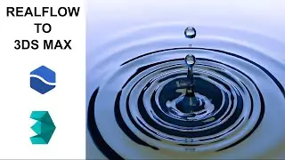 How to Export Realflow Simulation to 3ds Max (Simple method)