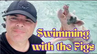 Swimming with the Pigs [Del Cal Show S4: E6]