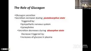 A&P Lecture - absorptive postabsorptive