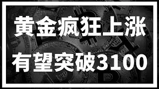 【罗尼交易指南】-2025.3.28-黄金爸爸再发力，本月有望冲刺3100。