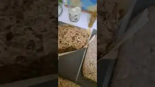 ЧТО ЕСТЬ ПОЛЕЗНОГО? 