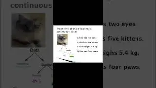 Quantitative Data | What is Data | What is Data Structure | C Language