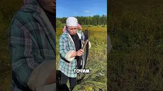 Покос на севере .