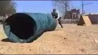 Аджилити