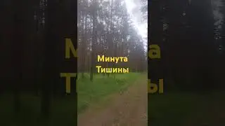 Минута тишины