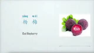 杨梅英文怎么说，水果Fruit：Red Bayberry