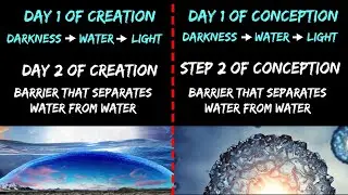The Creation, Conception, & Delivery Connections