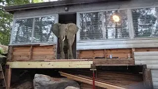 Queen Lake Camp 2019 Porch Sill Repair