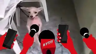 23. September 2018