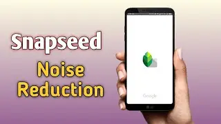 How to Use Noise Reduction in Snapseed ⚡