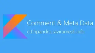 Review Comment and Meta Data - hpAndro Vulnerable Application Challenge