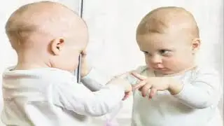 Extreme Animals - Shadow Babies