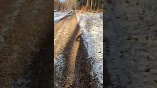 bestes Winter Wetter um Rad zu fahren ... und das neue Rad Mal etwas zu testen