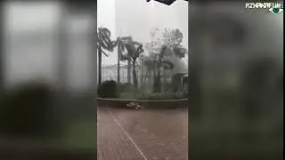 Ветреный День