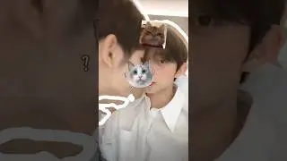 Adorable cat 🤭 Xiao Zhang & zhiye 