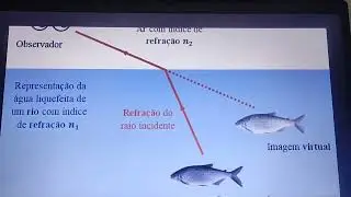 Revisão 3 ano!!