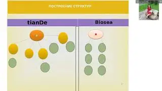 Почему я не пошла в BIOSEA А пошла в ТианДе Level up !