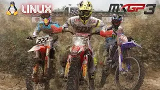 MXGP 3 rodando no Linux (Biglinux base manjaro)