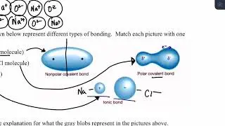 #76--Molecular Polarity