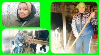 Деревенская суета-все на бегу, все на лету! Выручает сыроварня!