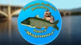 Квест 