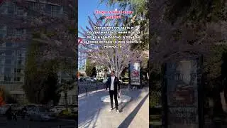 А Вы как считаете?