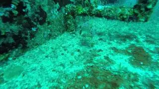 GOPR0431