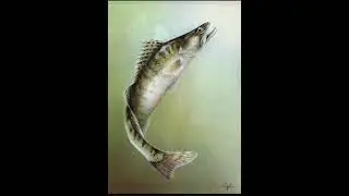 Как поймать крупную рыбу? 