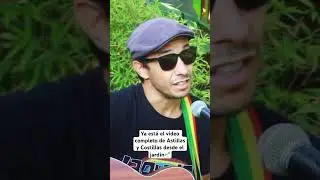 Astillas y Costillas desde el jardín a dos guitarras de palo