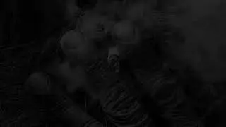 Organise Lyrics - Asake