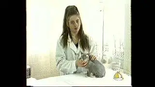 Фрагменты из программы "Друг" - 2000 год #тюмень