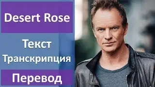 Sting - Desert Rose (lyrics, transcription)