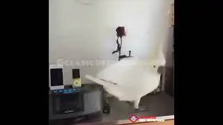 Al loro!!! Activamos el Modo Viernes