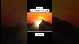 #мем #прикол #тренд #приколы #тренды #юмор #ржака #short #shorts #SHORT #SHORTS #Shorts #Short