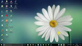 TCX converter