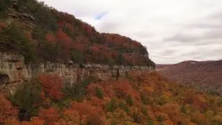 Fall Colors in the Tennessee River Gorge