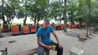Случай на пасеке)))
