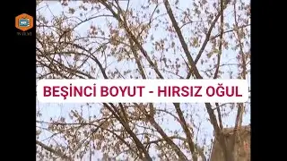 BEŞİNCİ BOYUT - HIRSIZ OĞUL