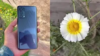 Oppo Reno 5 - Complete Camera Test!