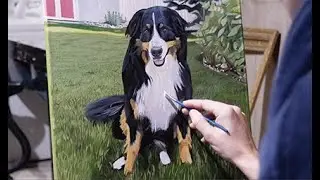 Backyard Fun Time lapse video