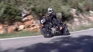 Husqvarna 901 Svartpilen In Action
