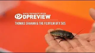 Macro photography with the Fujifilm GFX 50S