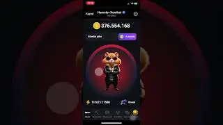 #hamsterkombatdailycipher 19 August 2024