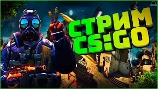 Выполняем задания в операции Сломанный Клык