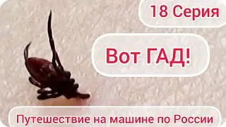 18 Серия. Неудачный день. Меня укусил клещ и чуть не омрачил наше путешествие! Но мы ОПТИМИСТЫ))