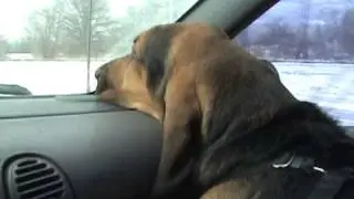 Duke's Winter Blues