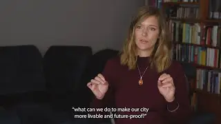 Career Paths in Urban Studies with Stefanie Horn | All Things Urban