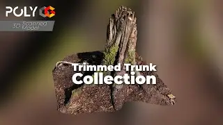 3D Scanned Trimmed Tree Trunks | Realistic PBR Assets for Maya, Blender, Unreal & SpeedTree