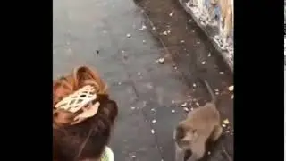 оу нига
